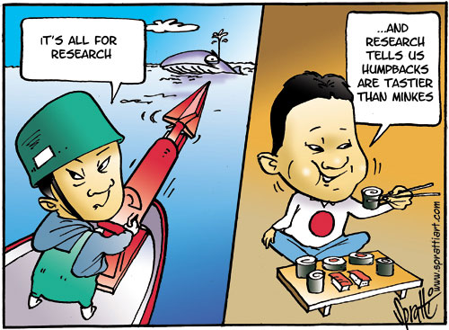 japan whaling 1