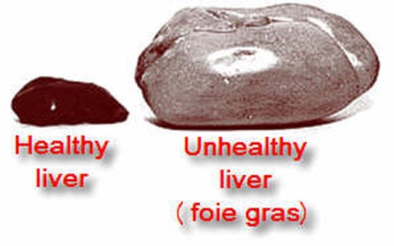 liver-foie-gras-bigger