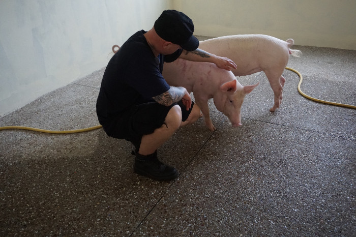 Roy von Eyes on animals