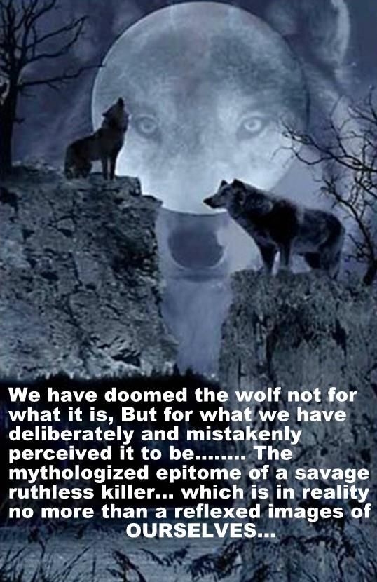 wolf quote