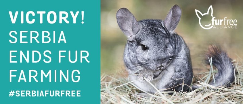 Serbia fur free 2019