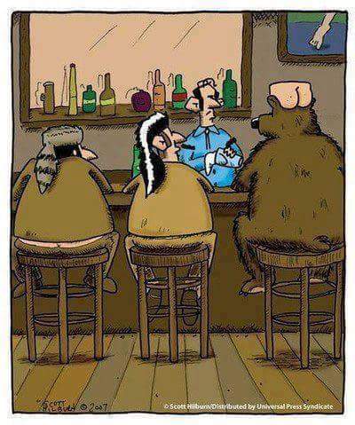 barszene mit jäger und bär_n