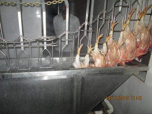 sl5 scalding tank chickens