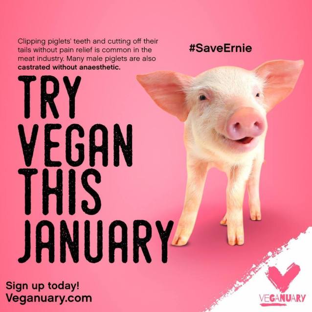 veganuary 2