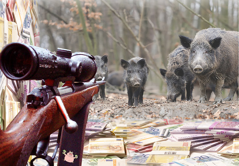 wildschweine auf gewehr jpg