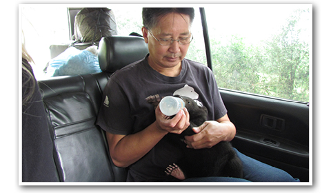 2019_tuan06-all-2019