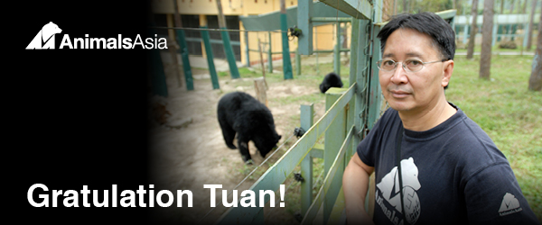 2019_tuan_banner-de-2019