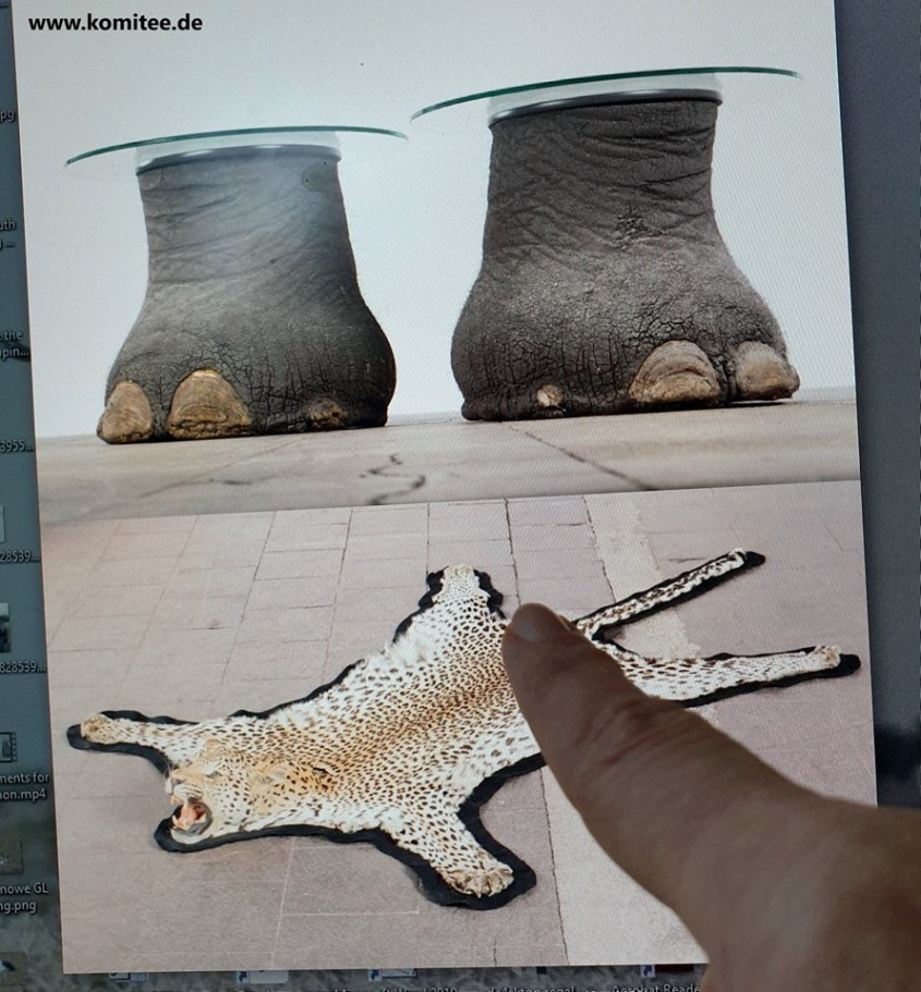 Elefanten Füße als Tischjpg