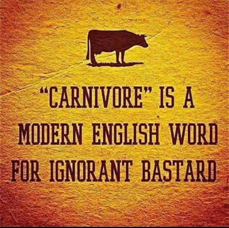 englischer Spruch-Carnivore_n
