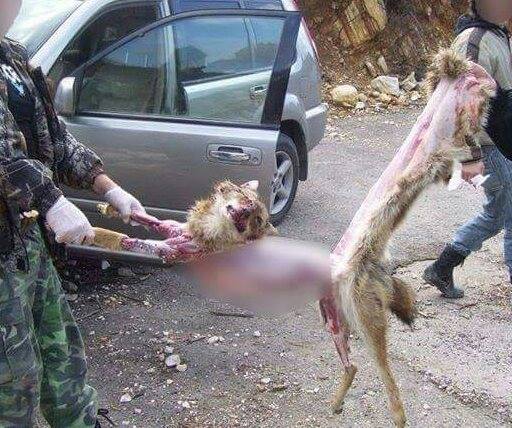 Enthäutung eines Pelztieres-China_n