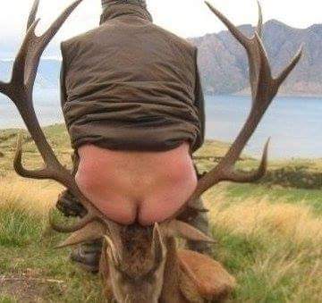 Jäger der mit ofenen Arsch sitzt_n