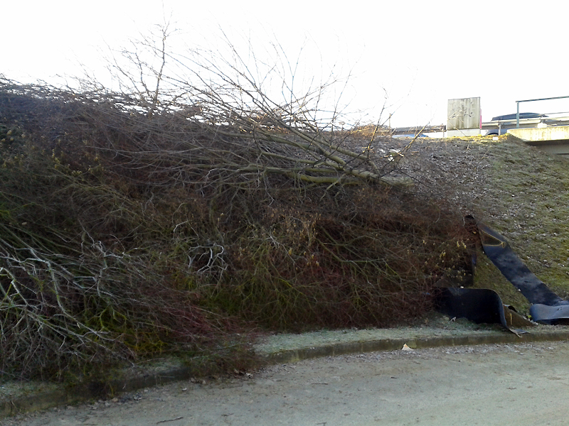 Stuttgart_10_Feb_2019