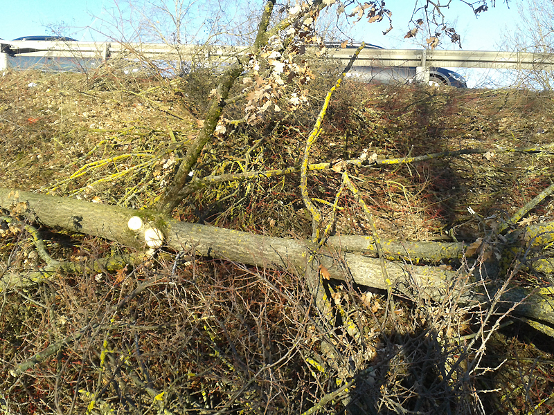 Stuttgart_12_Feb_2019