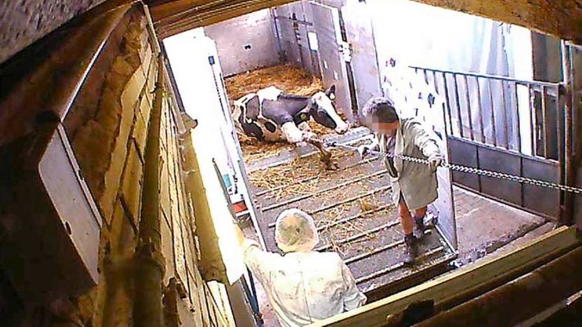 Bad Iburg, Geheim Aufnahmen