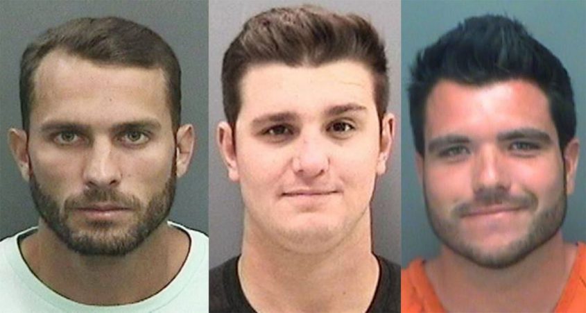 die drei shark killer