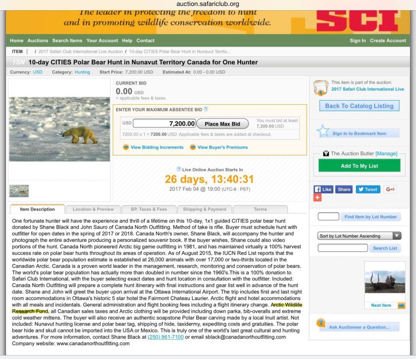 Eisbären-Jagd aud E bay