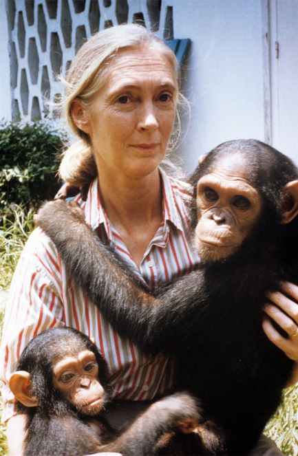 jane-goodall-work