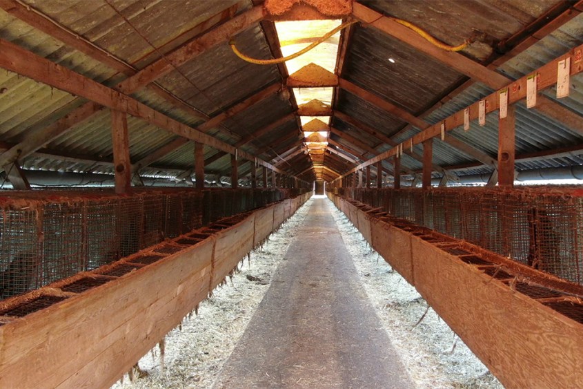 letzte Pelzfarma deutschland pg