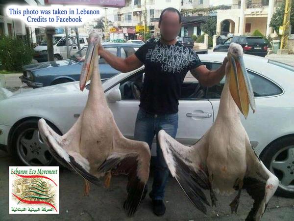 Libaneser mit ermordeten Störchejpg