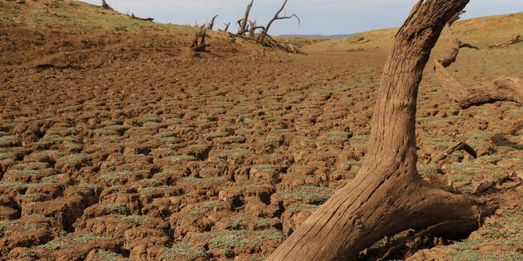 Suedliches-Afrika-leidet-unter-Dürrejpg