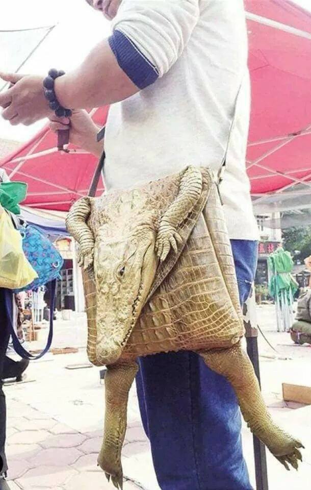Tasche aus Krokodil Kadavern