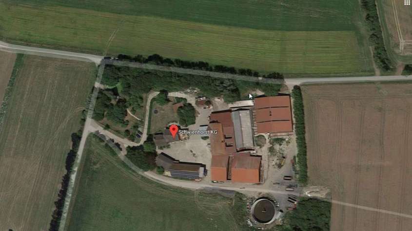 1100 Schweine verbrannt-warendorf-1T6b