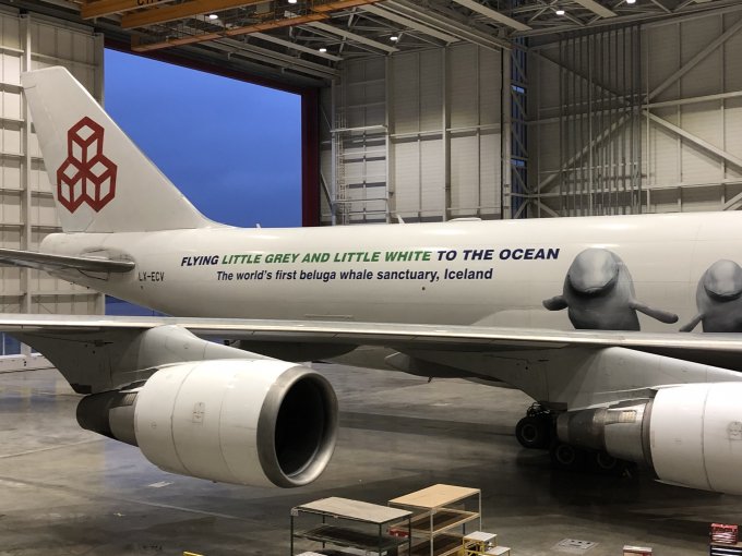 beluga jet full livery