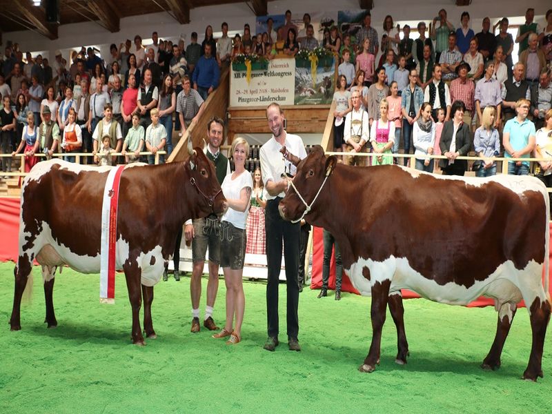 csm_IMG_4040_8d36ea6f7d