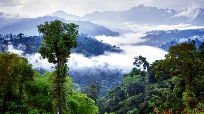 ecuador-regenwald-153742460-680x380