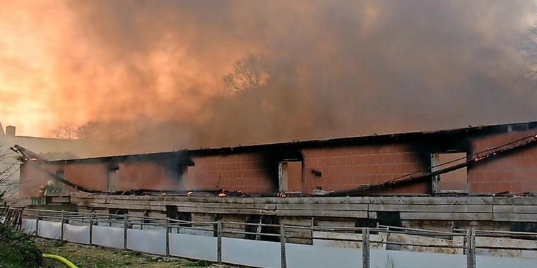 Feuer-in-Schweinestall-60-Muttersauen-und-600-Ferkel-verbrannt_jpg