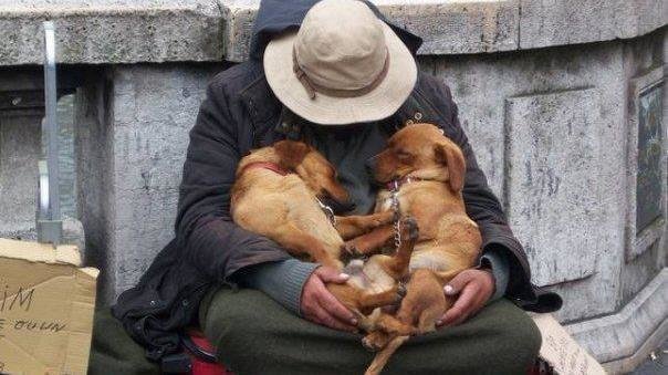 homeless person dog 5