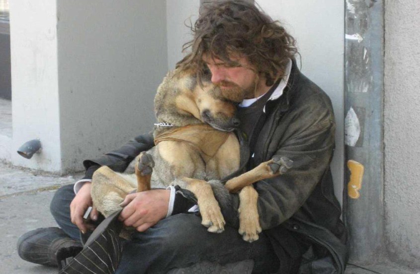 homeless person dog 6