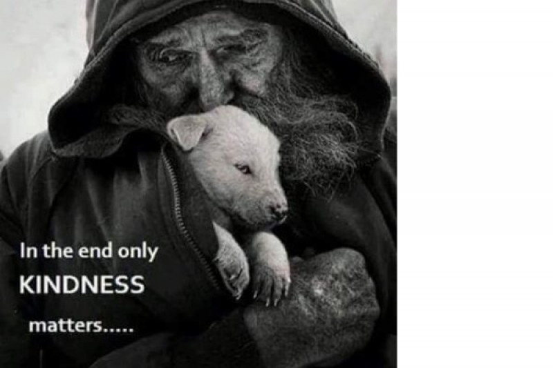 homeless pperson dog 3