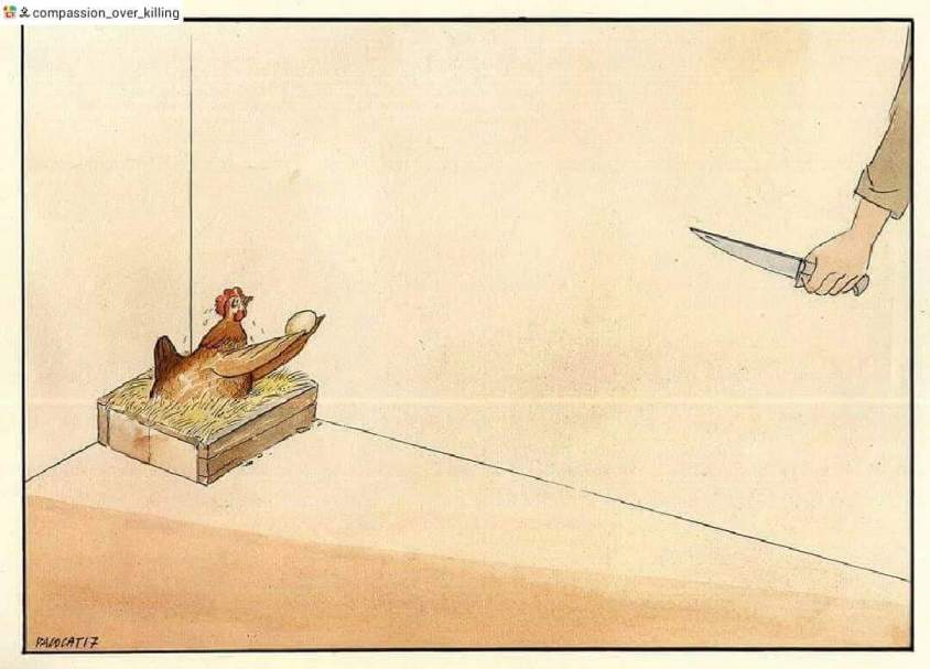 Karikatur Ostereierpg