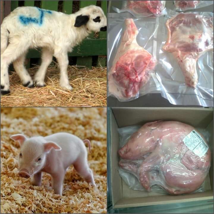 Lämmleine verpacktn