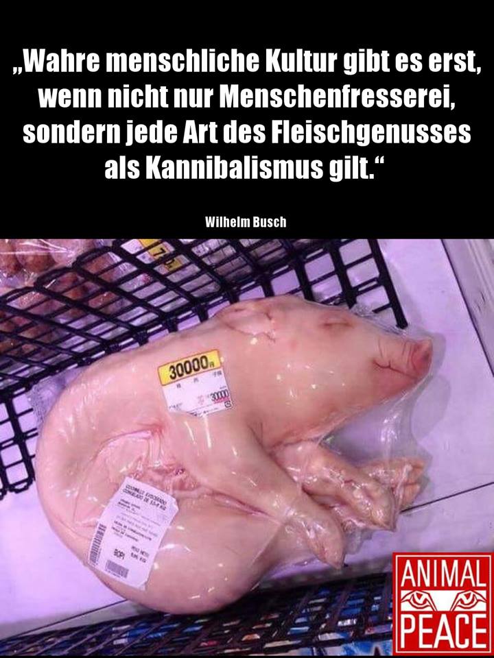 zitat über kannibalismusjpg