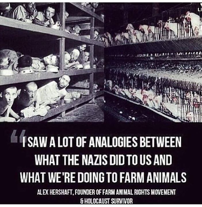 alex Plakat Holocaust