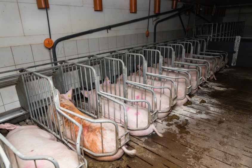 kastenstaende-zu-eng.02