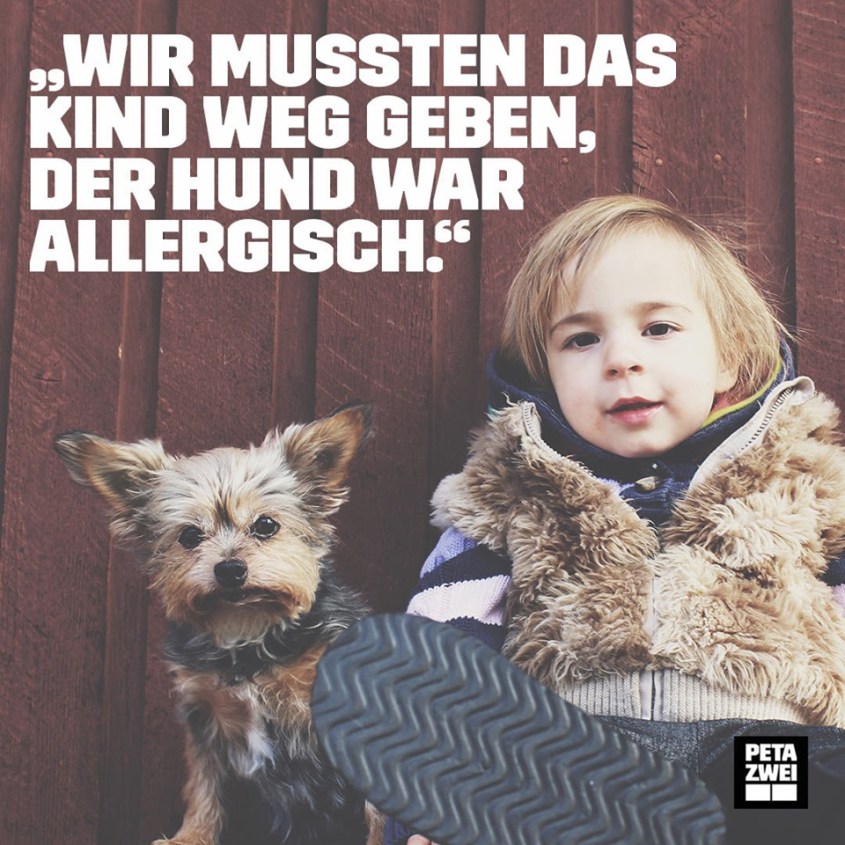 kind mit Hundjpg