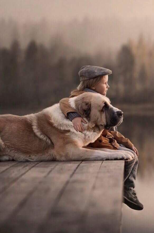 Kleines Kind mit grossem Hund_n