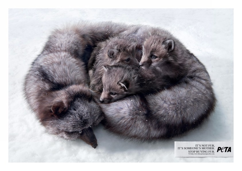 peta-mother-fox-print-pelz381484-