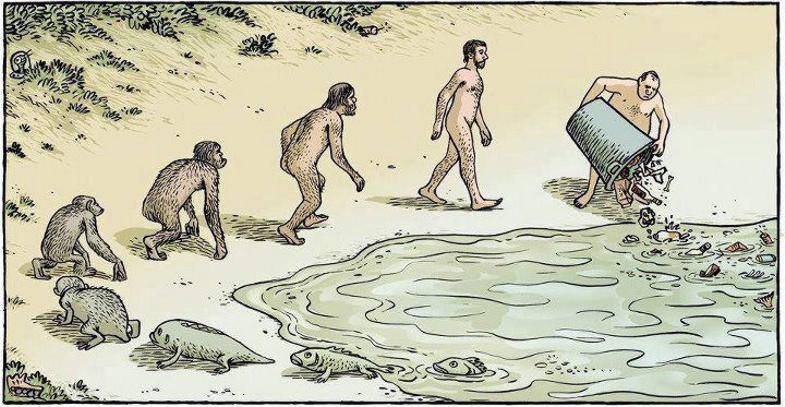 schöne evolutions karikatur