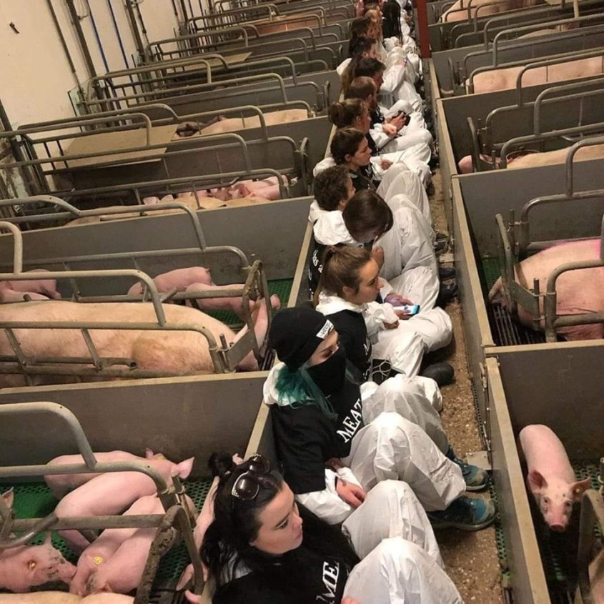 tierrechtsaktivisten