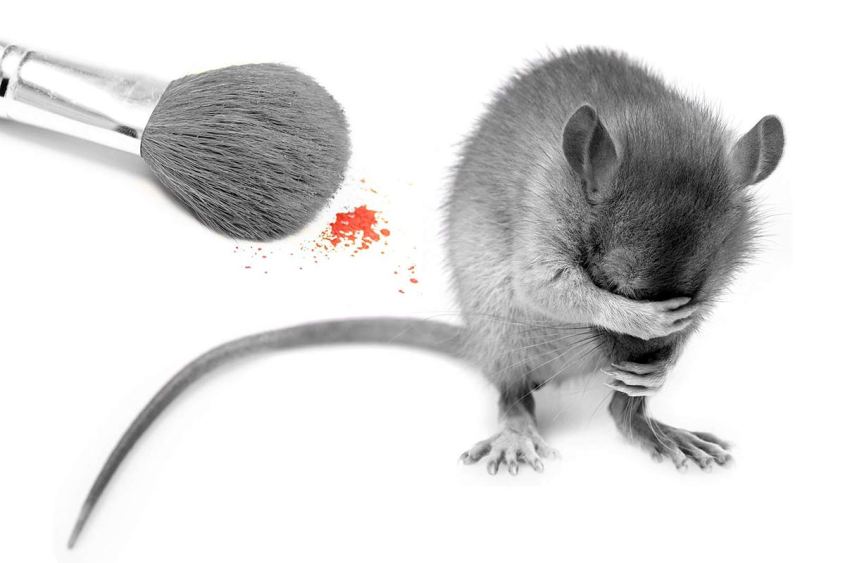 Tierversuche-Kosmetik-Maus-Pinsel