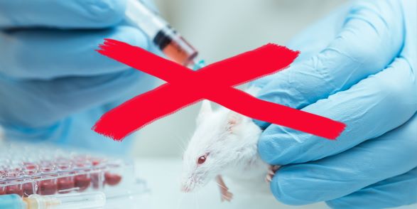 Tierversuche stoppenn