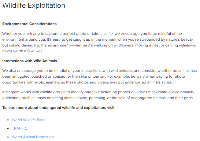 ausbeutung-von-wildtieren-instagram