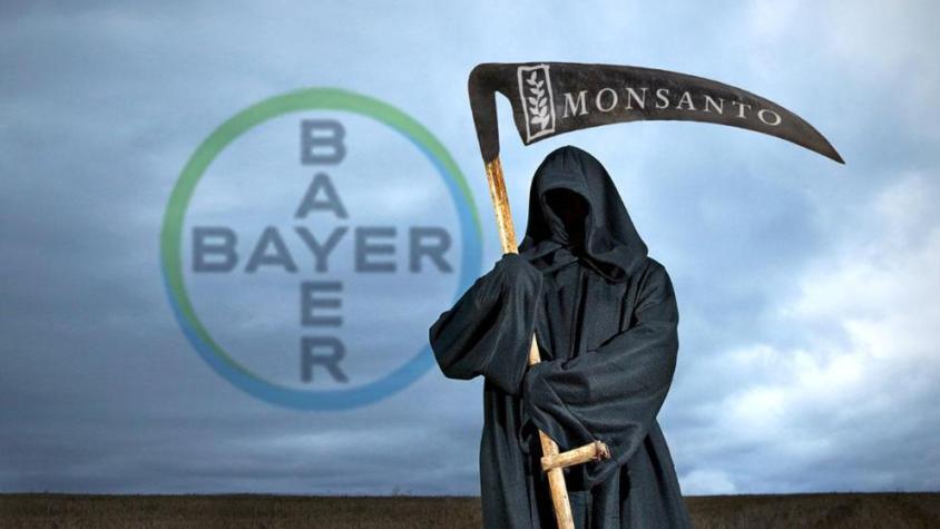 bayer monsantopg
