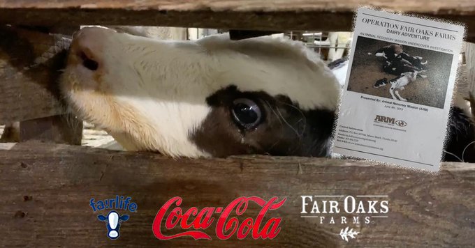 Coca-Cola Fair Oaks Farms777