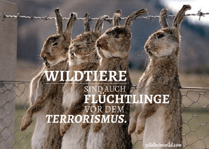 der-terrorist-im-jäger