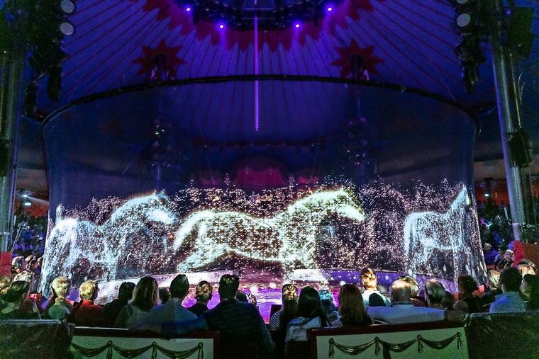 -holografischen-pferden w760